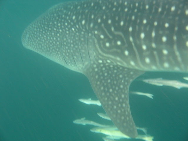 398cb742-3b6e-44f6-8bc5-613d918b3566