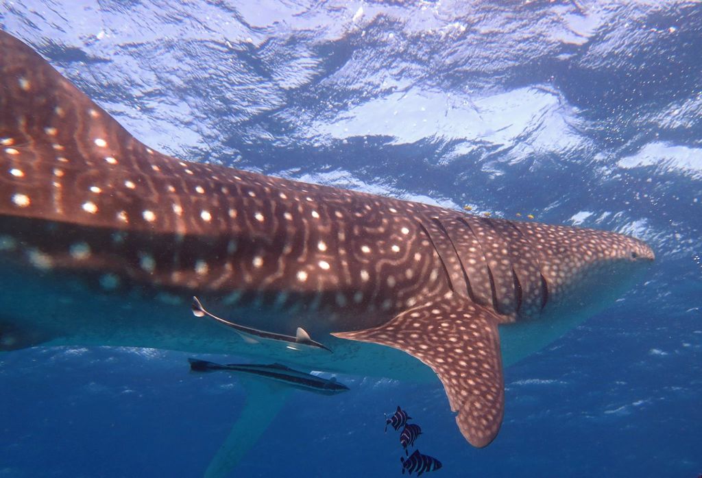 bc25f794-be4d-40c2-8b5c-b1751a088551