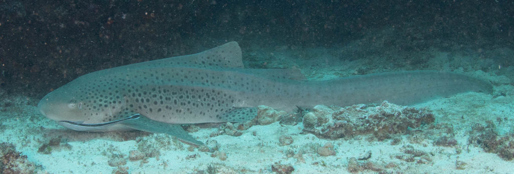 2b6bfee0-85a7-413b-bb78-6aea37af8d95