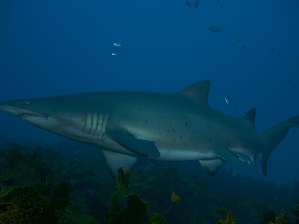 a605564a-6333-488f-a4ce-a47d7f7a4e35