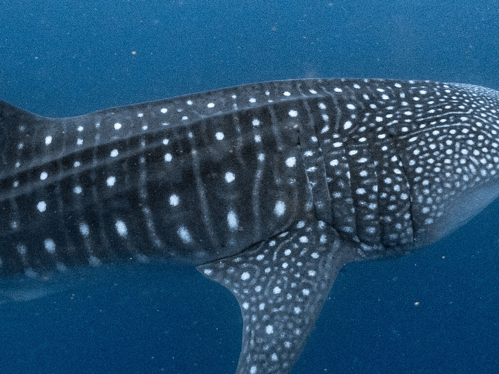 21aedc2a-5c87-400c-9bf3-6caa057ee723