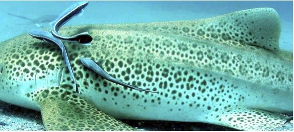 728cd3d4-a7b1-41fe-80dd-d08f3f8f770c