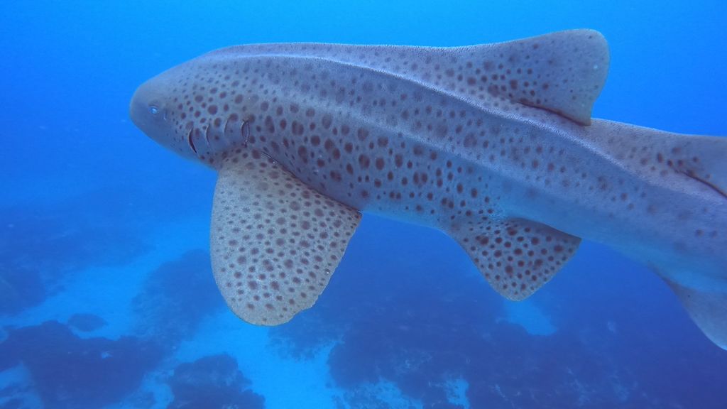 38dee2d7-04a5-4f21-8b64-5bad71dd5f37