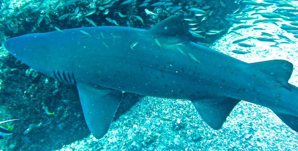 3f4f684a-1a10-4d47-9b5a-52c70ad74354