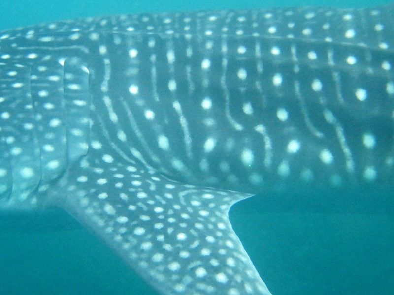 b1f45189-e50a-4b0a-b336-5f41f03419ea