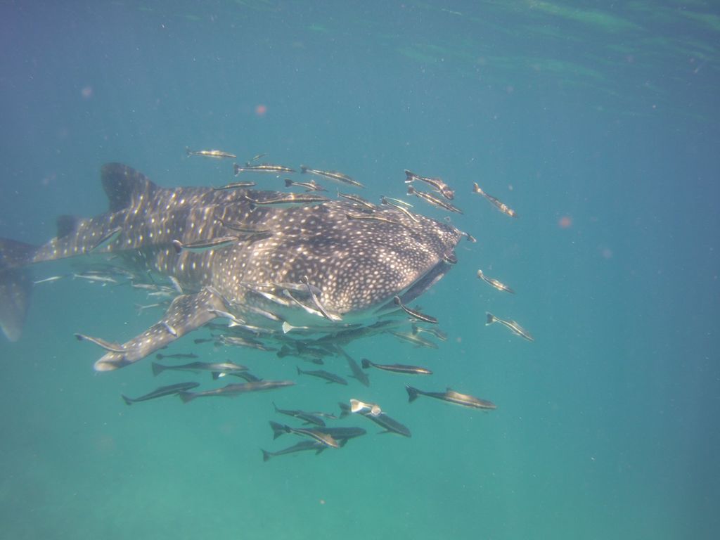 b869d4b7-cf16-4579-a66d-f0d18225758c