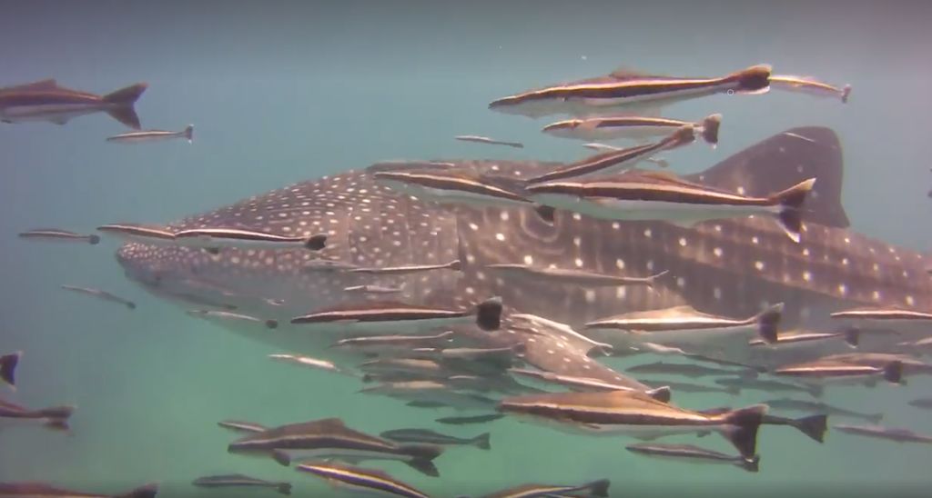 b869d4b7-cf16-4579-a66d-f0d18225758c