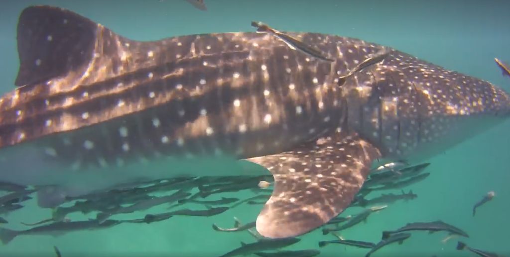 b869d4b7-cf16-4579-a66d-f0d18225758c