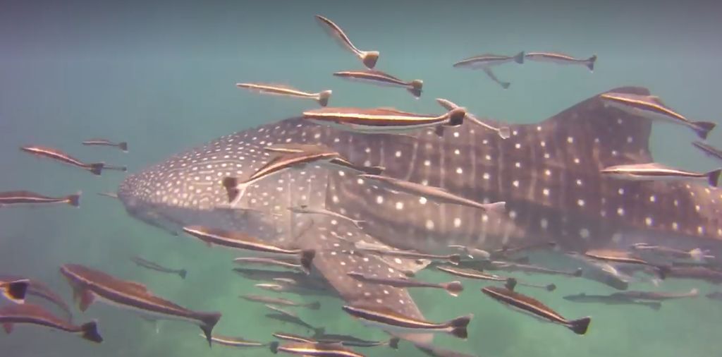 b869d4b7-cf16-4579-a66d-f0d18225758c