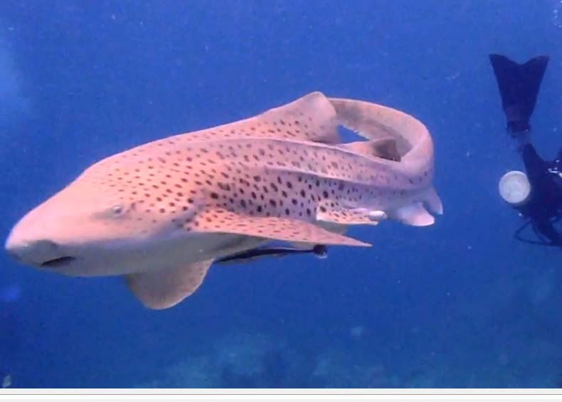 5be01baf-acc4-45db-895e-24969b656198