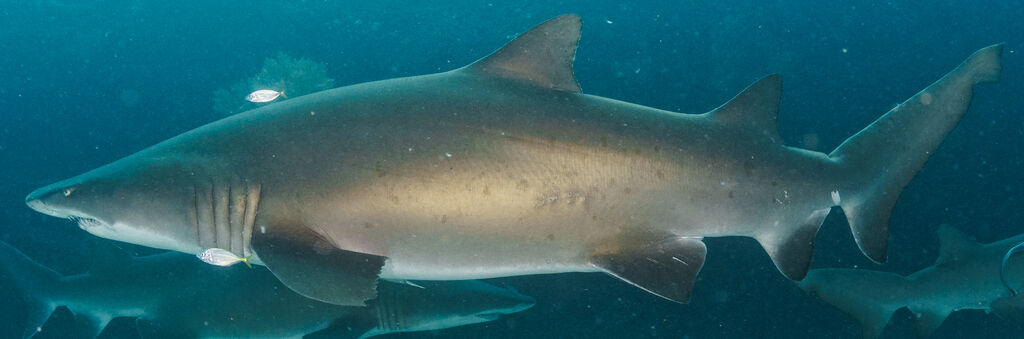 7269b670-9c3d-440b-8631-1263d714a1cc