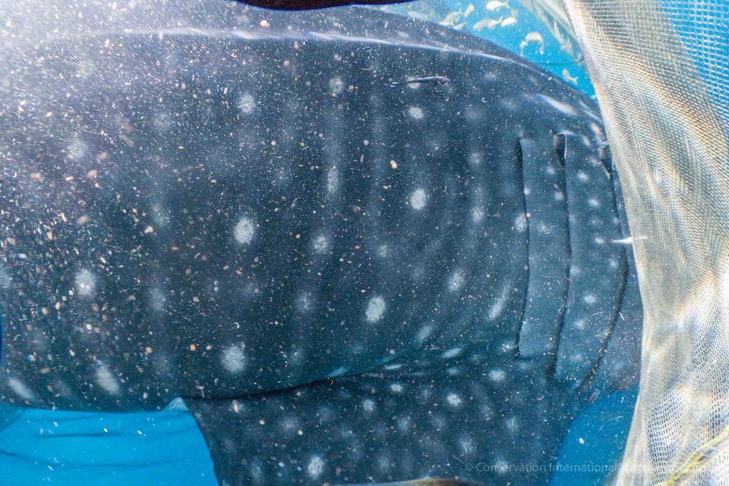 d080b84d-525b-43ae-b51a-651db6ee33f4