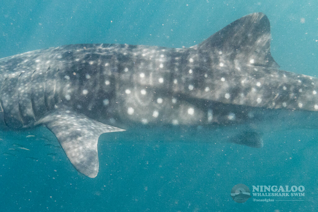 a819634c-f1bf-4229-9371-c4086d1f8c72