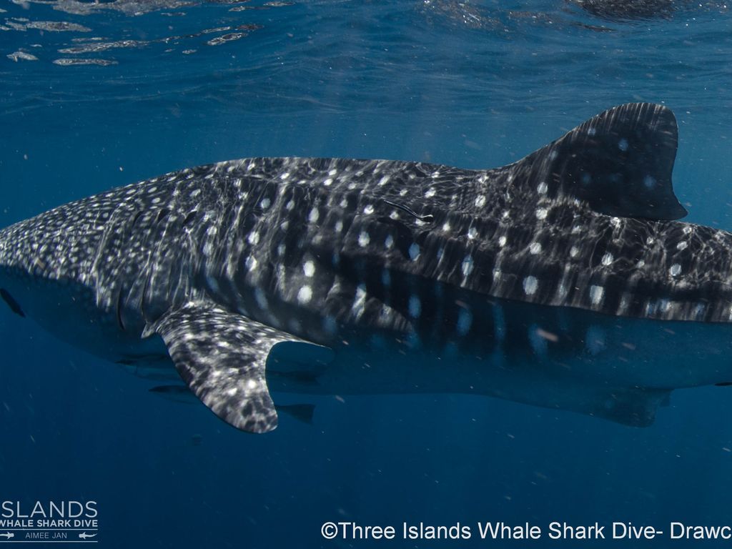 1837bdb2-fa6b-4245-a71f-d0411fc557e4