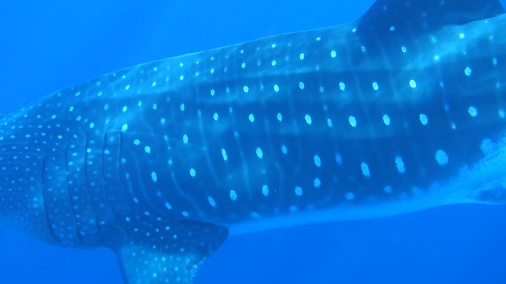 ff57a6ed-5e1e-468c-a613-e60dd92fe45b