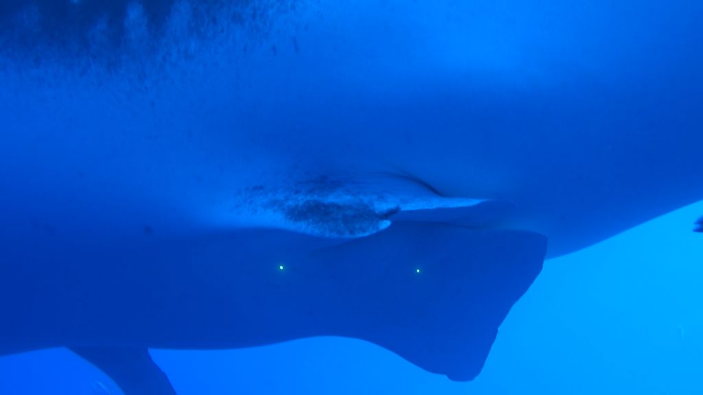 ff57a6ed-5e1e-468c-a613-e60dd92fe45b