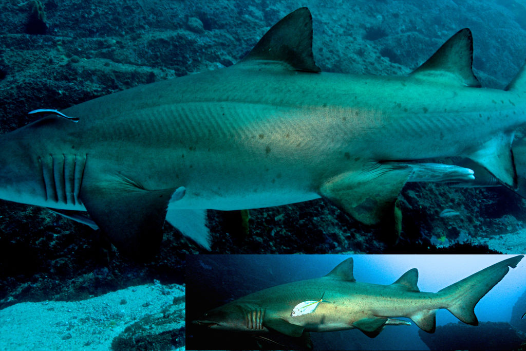 88636bb4-2505-48bd-8f71-eaefcaa36175