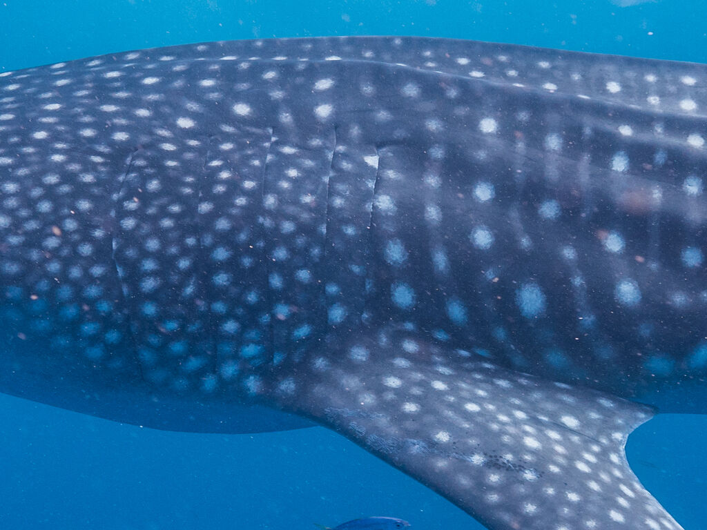 5327afa2-3a23-4b8b-b538-87d8a1c73252