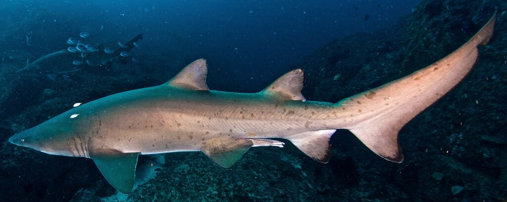 3692a2f9-79c6-4044-9e44-b29e49aafcd8