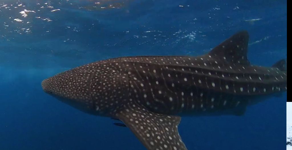 8c8ebc9d-2e2d-4539-947a-48254c12841a