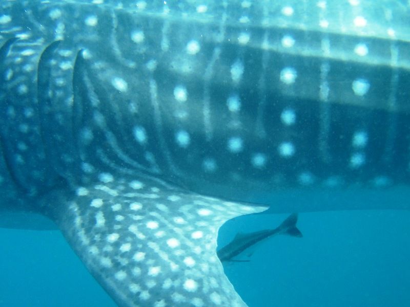 a4cecd0d-8340-4e6c-9a57-38555991cb70