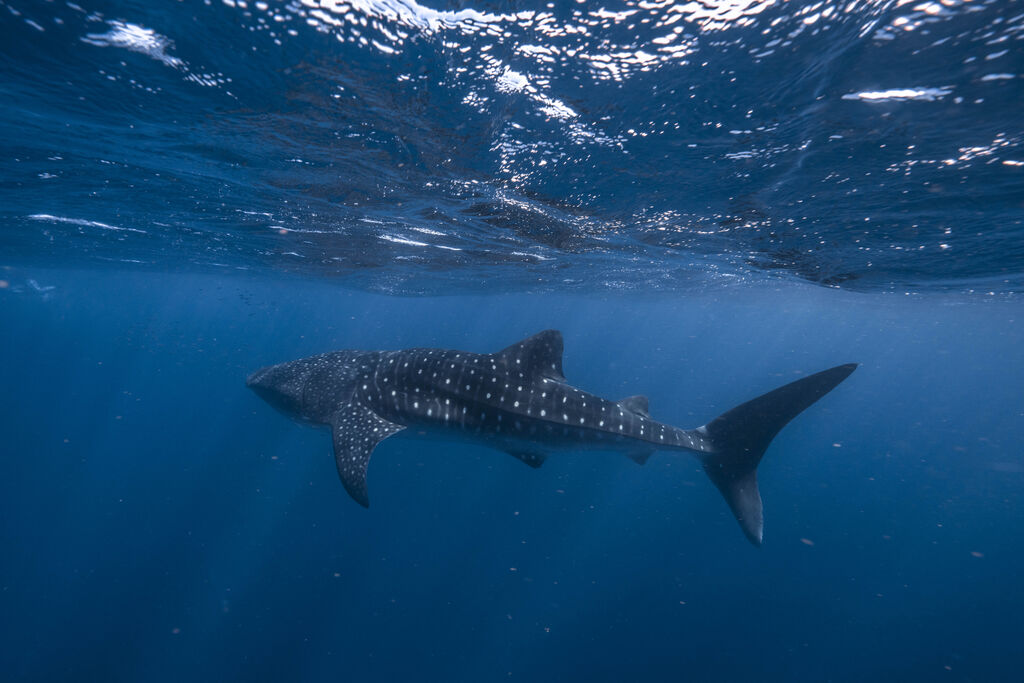 b3710276-7e03-4f79-a4bf-6c89ac1b9cf1