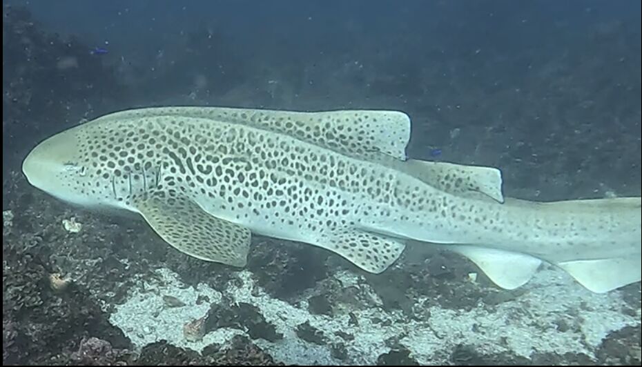 6a4cebb0-6324-47c3-b09a-82911c8f585c