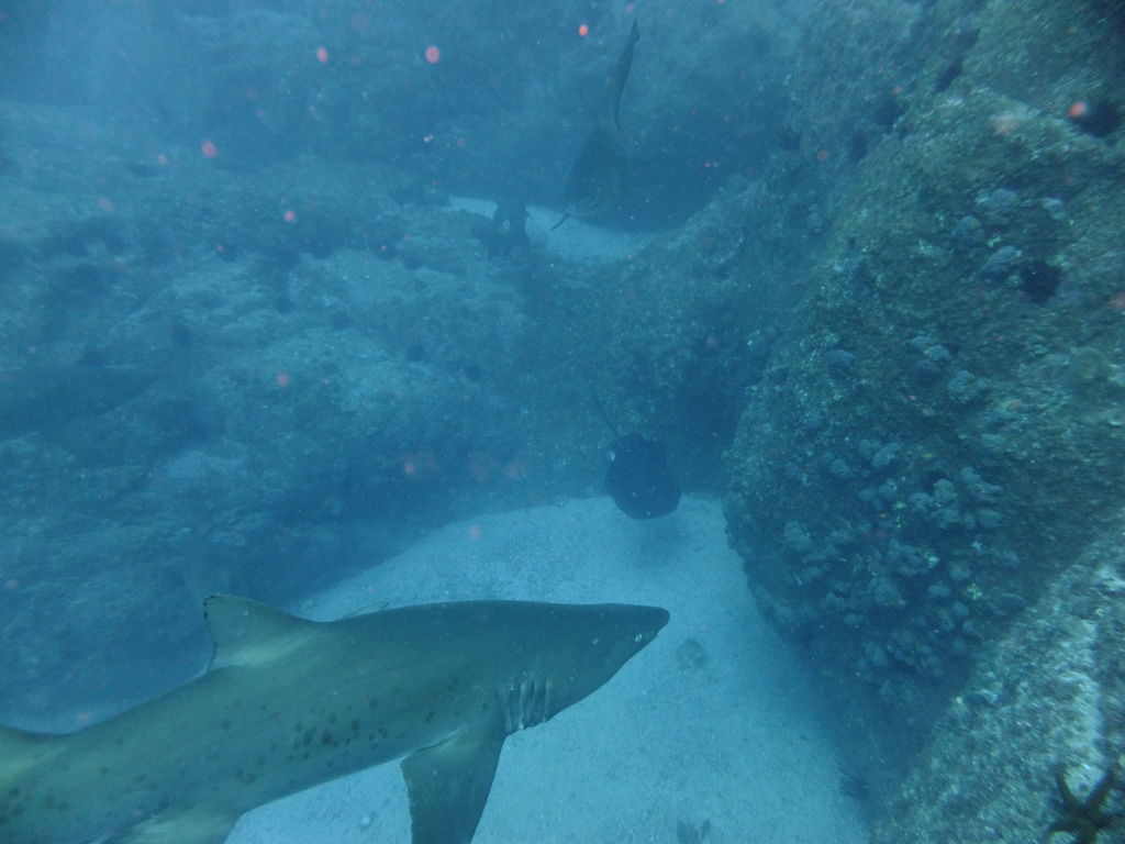 039edaf4-8f89-4fb6-939f-f88d2ad03a81