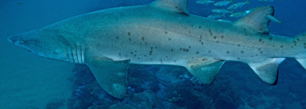 7fcd90ad-918e-41ef-8781-fc3ff49c3d0e