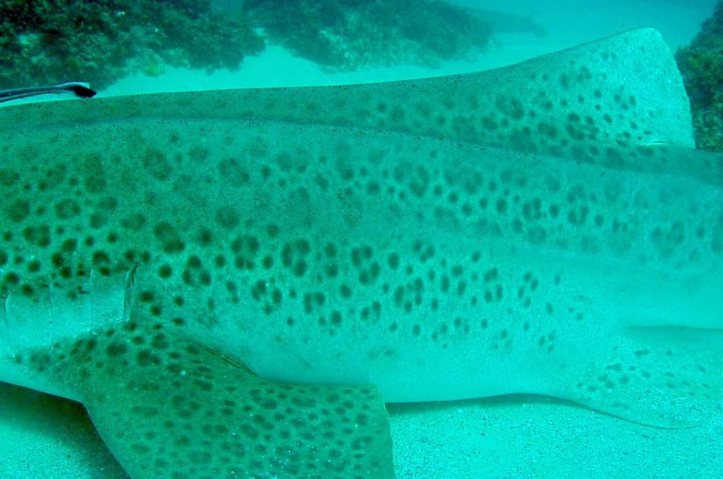 c56f3bdd-1a6b-429c-8ee7-4aa51a2d2c4a