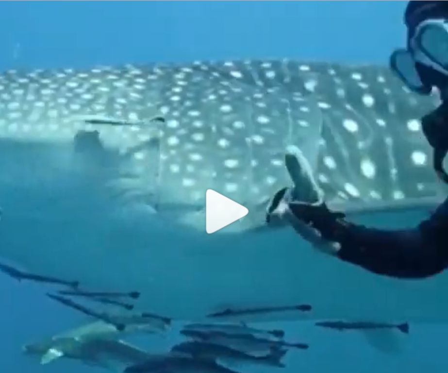 cc07a90d-0841-47d9-b822-514980af7011