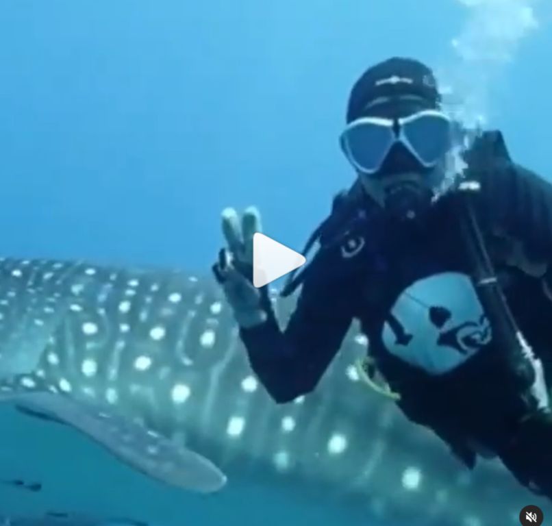 cc07a90d-0841-47d9-b822-514980af7011