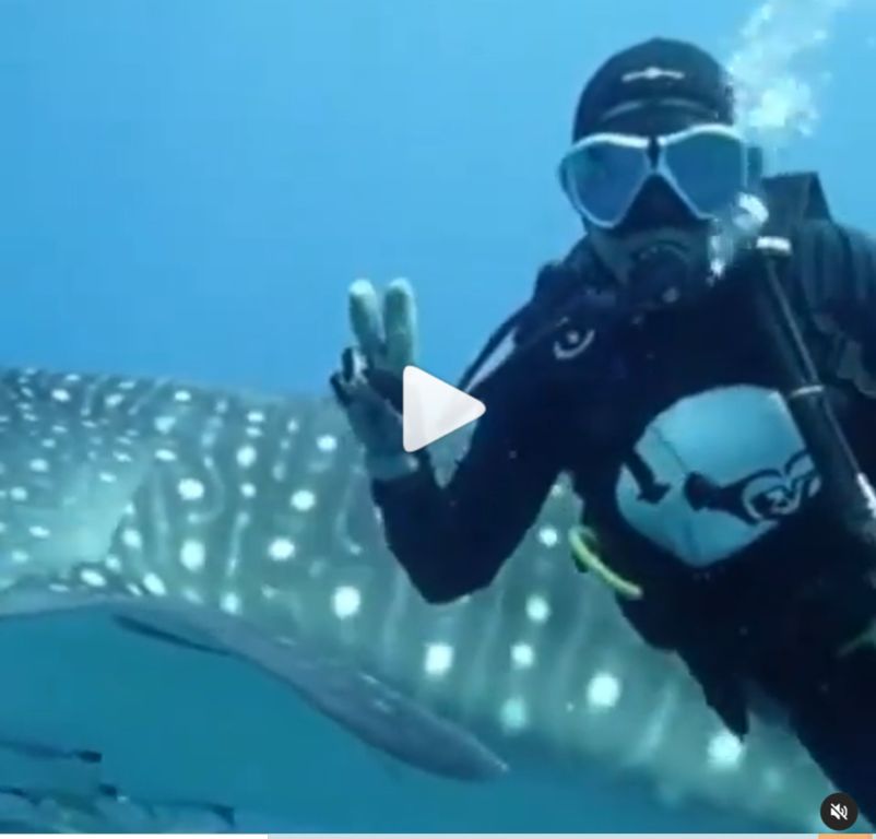 cc07a90d-0841-47d9-b822-514980af7011