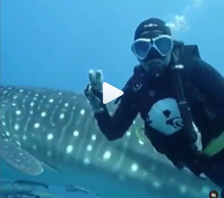 cc07a90d-0841-47d9-b822-514980af7011