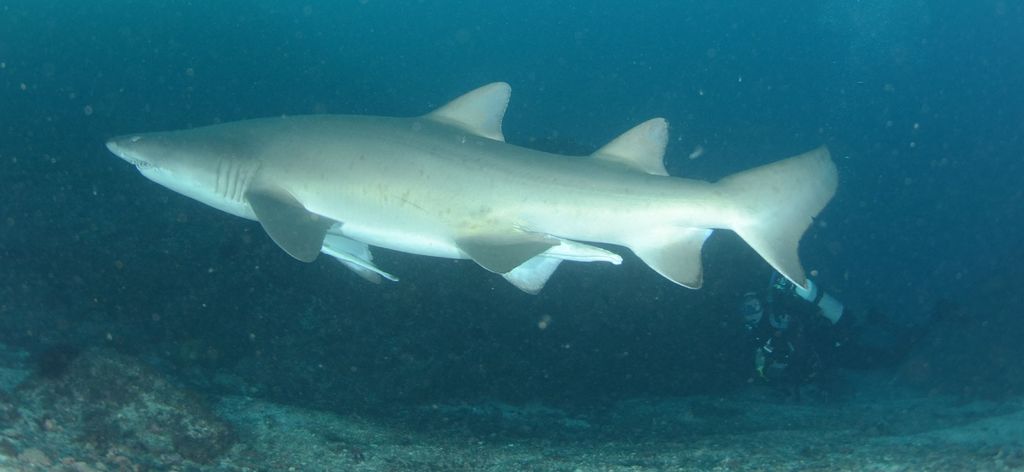 023b0861-32b6-4480-827e-53ce6d308756