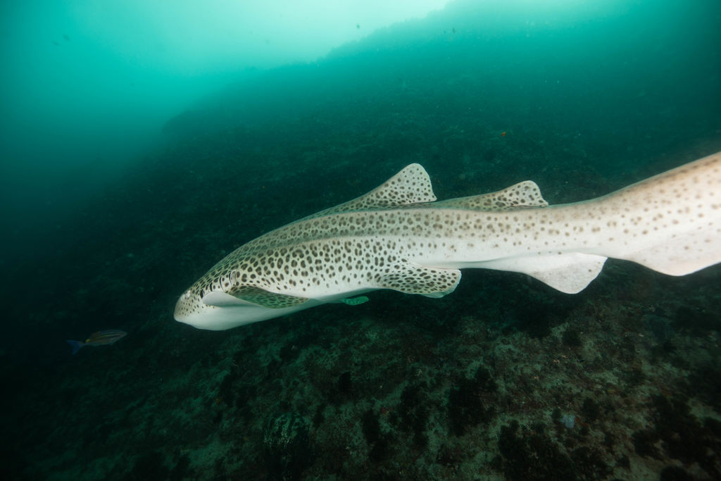 b59a32f6-1091-4849-b0c2-c59a1a420614