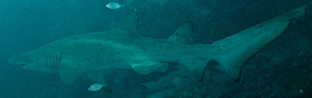 07aa88f4-de82-4ca2-b3f2-296051b72f68