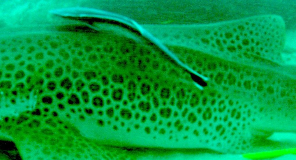 0467f9ce-003a-4fe4-a94d-205feaa5abfb