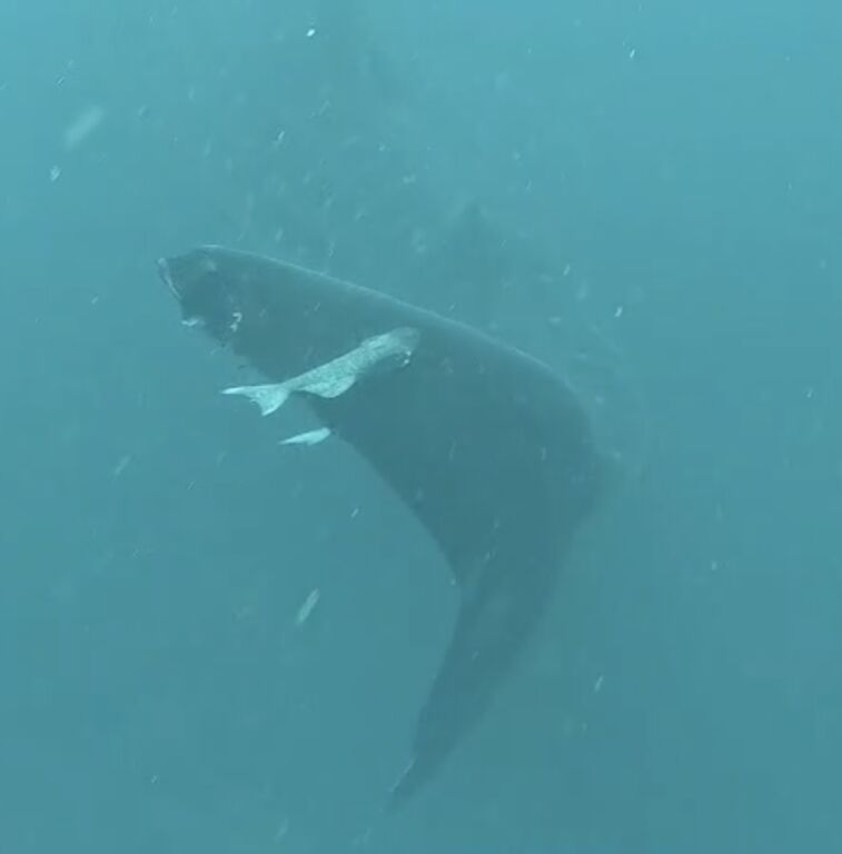 59866043-c97c-40a4-a9a6-a51e74759695