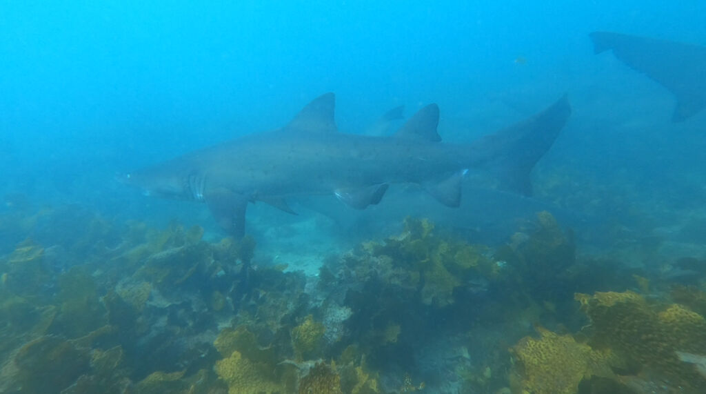 b93f6d89-ab78-48b1-85cd-6fa28f205f7c