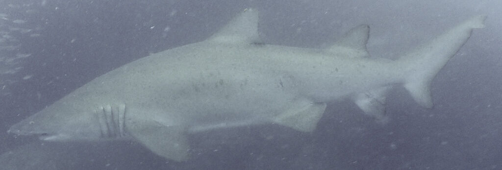 1a47b649-5919-482f-9ca0-8e09ba2ff877