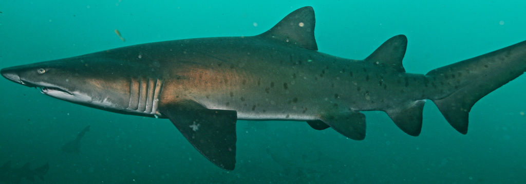 811bbb93-78c3-46f2-a9fa-5935c301db80