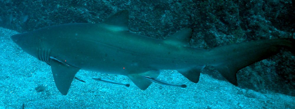 5761f454-1deb-41ea-ad4e-4de9dc4f2210