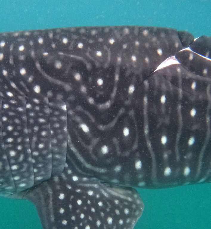 15e47ece-88f2-4fa8-bf78-d6d995e955ba