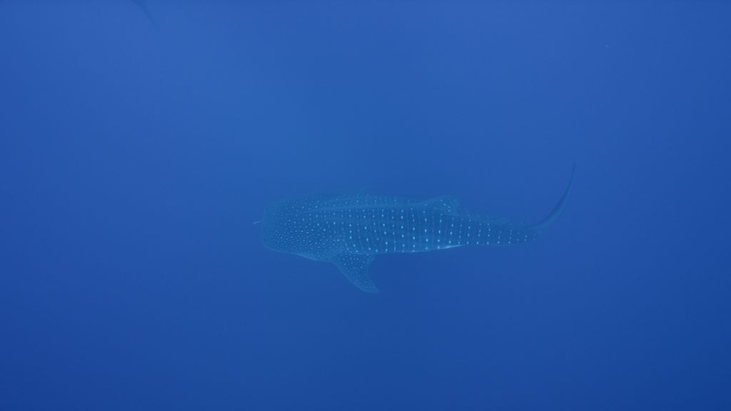 33324f8e-68e2-4043-a40f-380882dcc00a