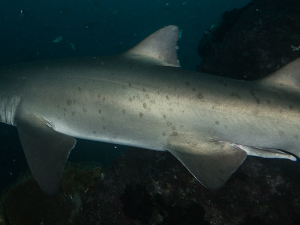 844d6379-bd8d-4afc-aa69-14a79009184d