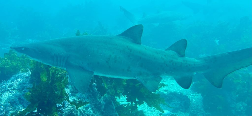 a1a6ae38-9629-4fec-b465-ba4bacb0ffc2