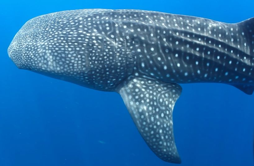 eb42f1ae-bbbd-4056-b454-b21e30898150