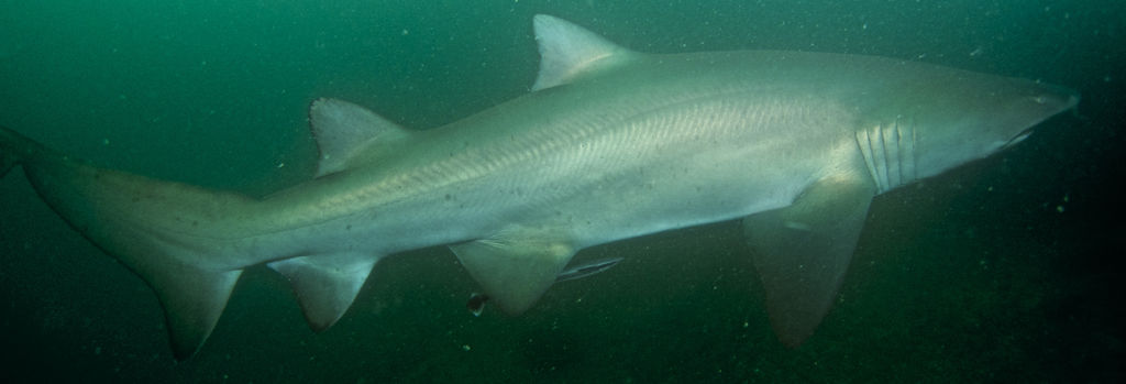 d73111c0-bb11-4b60-bcf8-eb7d65199dbb