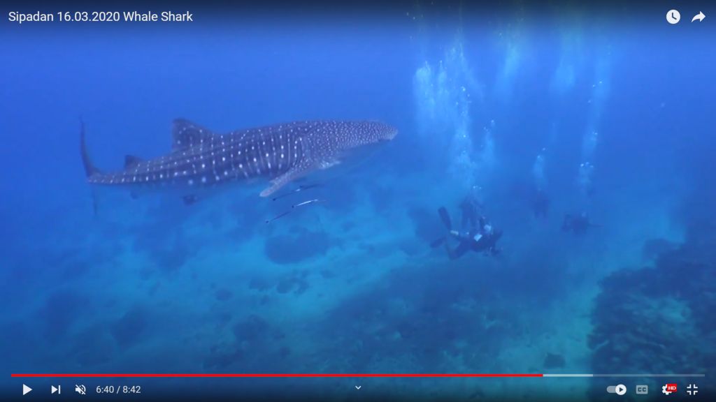 7e25e8e6-7480-4668-8144-3b84f7b8c656